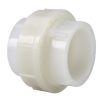 PVDF Union
